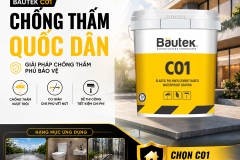 Bautek-C01