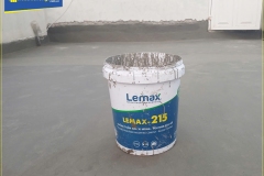 Lemax-215-1