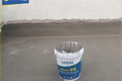 Lemax-215-2