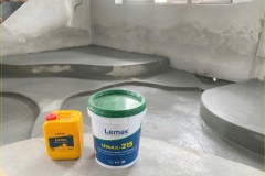 Lemax-215