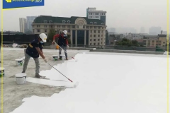 Neoproof-PU360-Trang-3