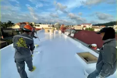 Neoroof-1-3