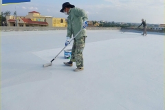 Revinex-Roof-10