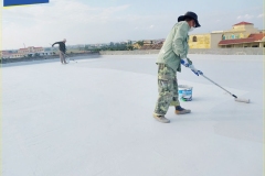 Revinex-Roof-11