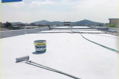 4_Silatex-Super-6