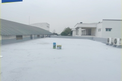 9_Silatex-Super-1