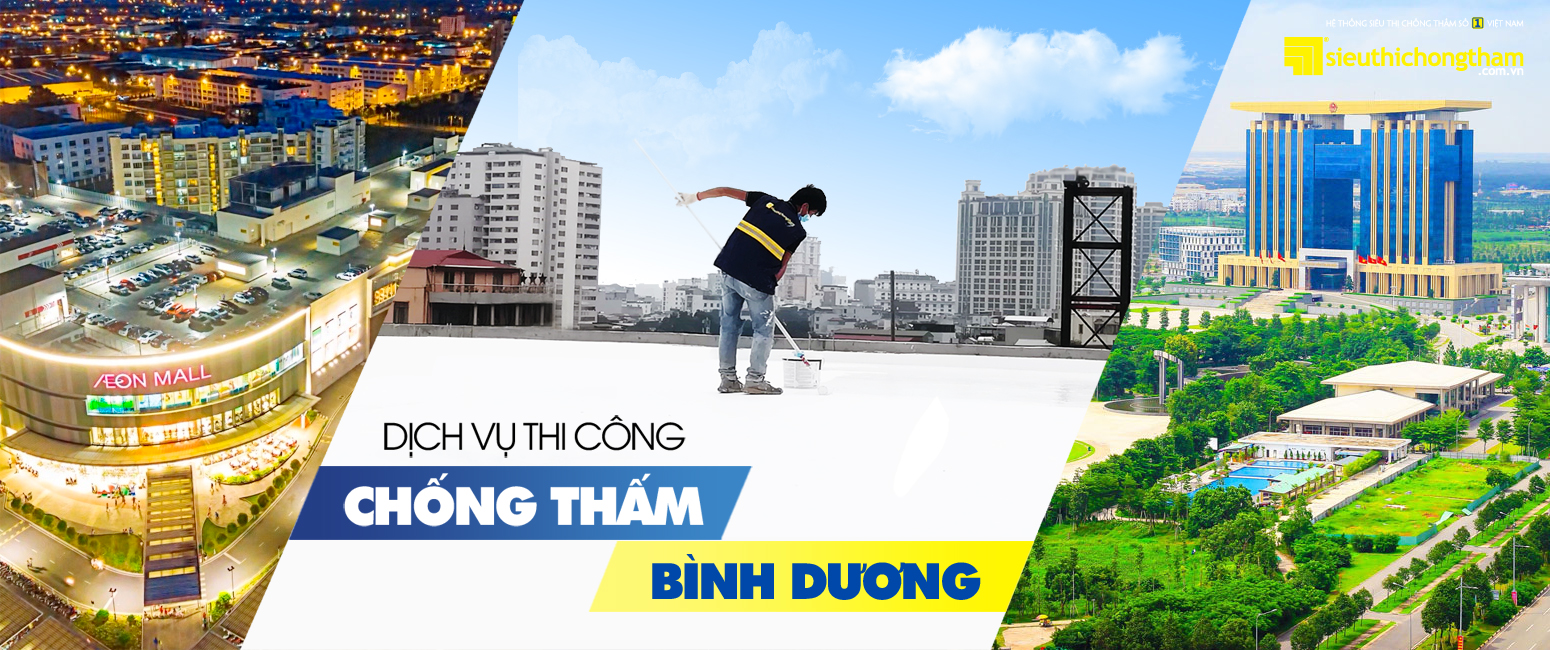 Binh Duong Mobile