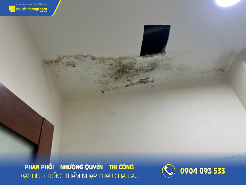Trần nhà ố mốc 