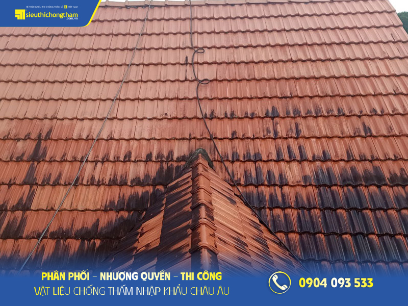 Top 5 cách chống dột mái ngói hiệu quả Mái ngói xuống cấp