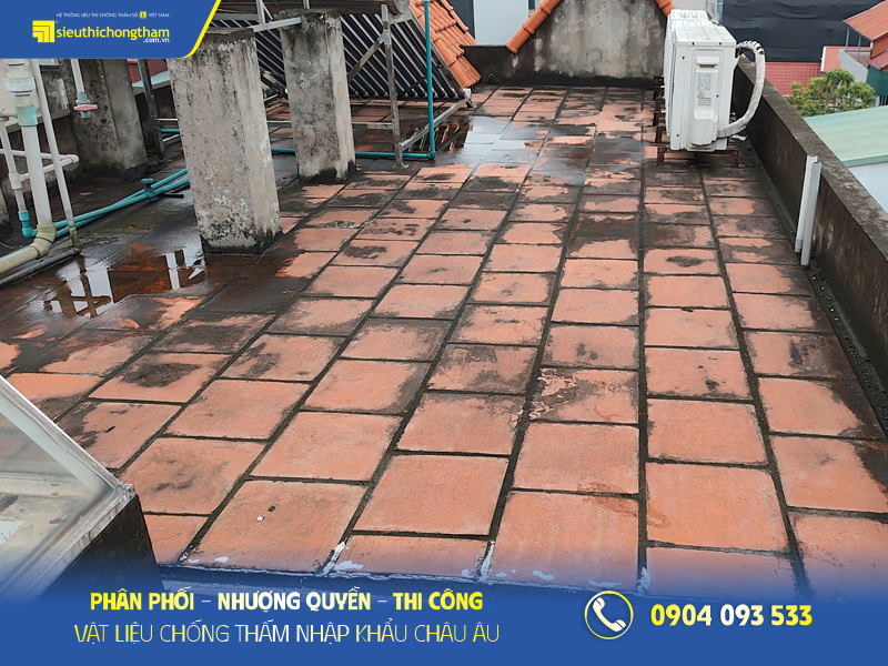 Mái nhà bị dột - cách chống thấm dột mái nhà Mái nhà bị dột do sân thượng đọng nước lâu ngày xuất hiện rêu mốc