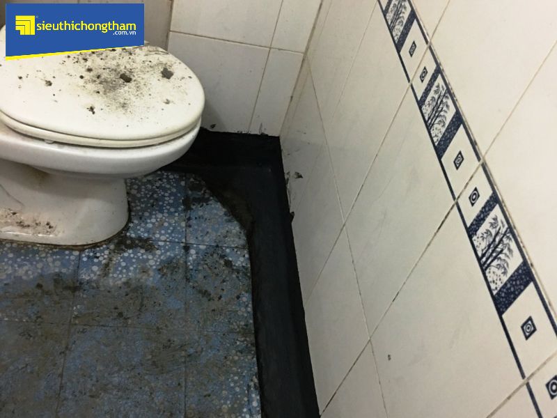 Dịch vụ chống thấm nhà vệ sinh