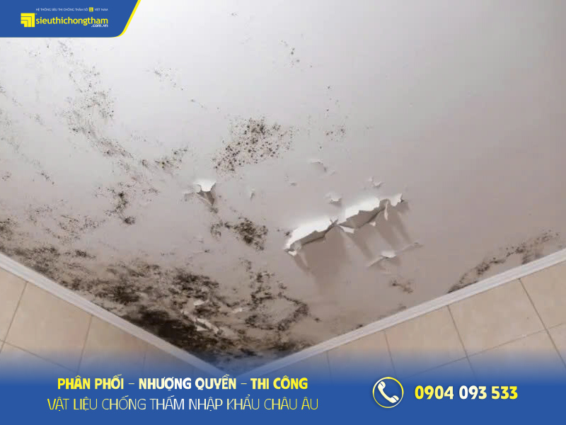 Trần nhà bị thấm gây nên ẩm mốc 