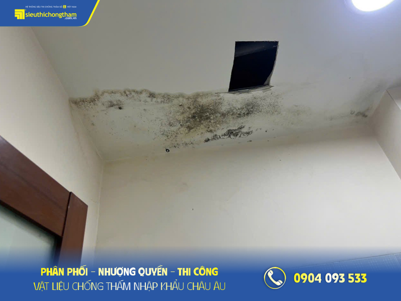 Dịch vụ sửa nhà chống thấm chuyên nghiệp, đảm bảo uy tín Trần nhà ẩm mốc