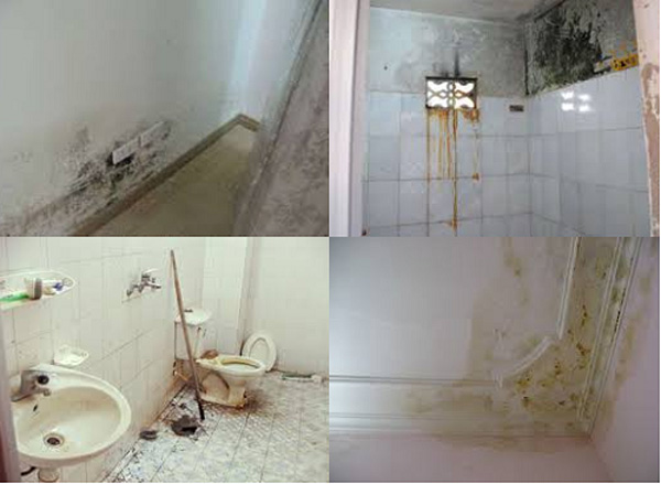I. Giới thiệu về vấn đề thấm chân tường trong nhà vệ sinh
