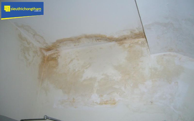 Câu trả lời cho vấn đề có nên sơn chống thấm trong nhà là có, tuy nhiên sơn khi tường chưa đạt độ khô vẫn sẽ gây thấm