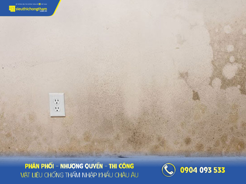 Tường trong nhà ẩm mốc, loang lổ mất thẩm mỹ