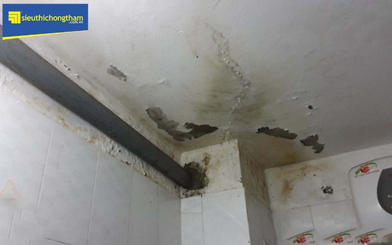 Sử dụng dịch vụ chống thấm nhà vệ sinh tại Hà Nội khi xuất hiện dấu hiệu thấm dột