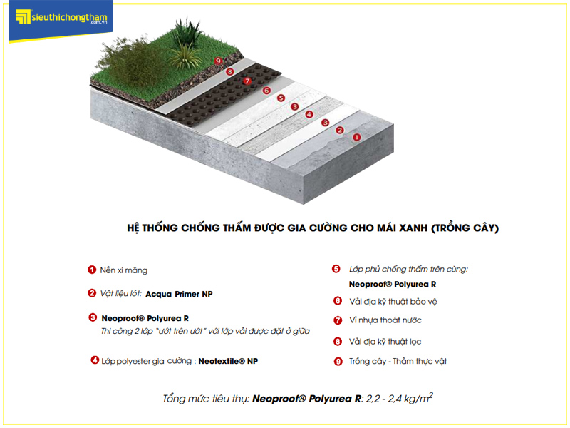 Mặt cắt mô phỏng quy trình chống thấm mái trồng cây sử dụng Neoproof Polyurea R
