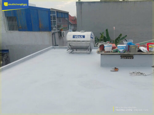 Revinex Roof 6