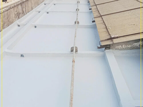 Revinex Roof 1