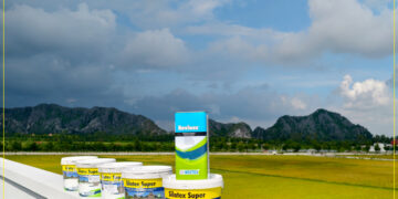 Chống thấm tường ngoài nhà dân tại Ninh Bình