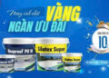 CTKM: SINH NHẬT VÀNG - NGÀN ƯU ĐÃI CTKM: SINH NHẬT VÀNG – NGÀN ƯU ĐÃI