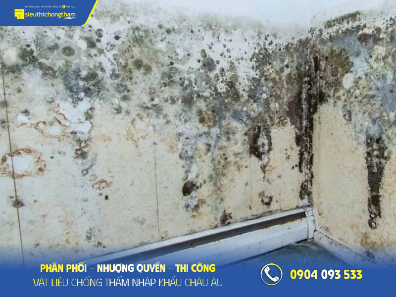 Tường rêu mốc bong tróc