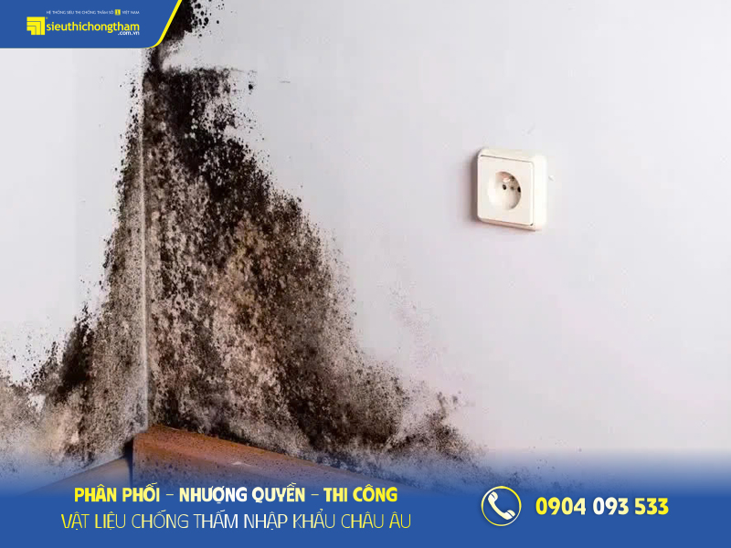 am moc chan tuong va cach xu ly