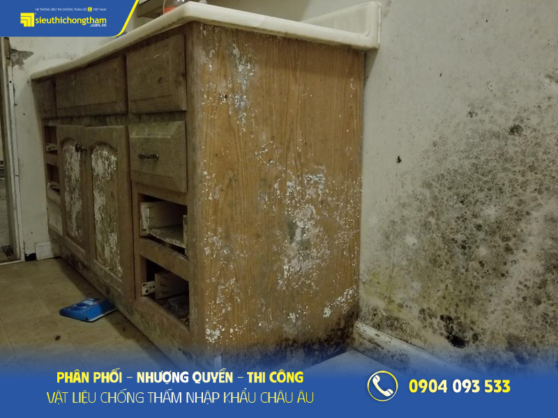 Tường nhà ẩm mốc