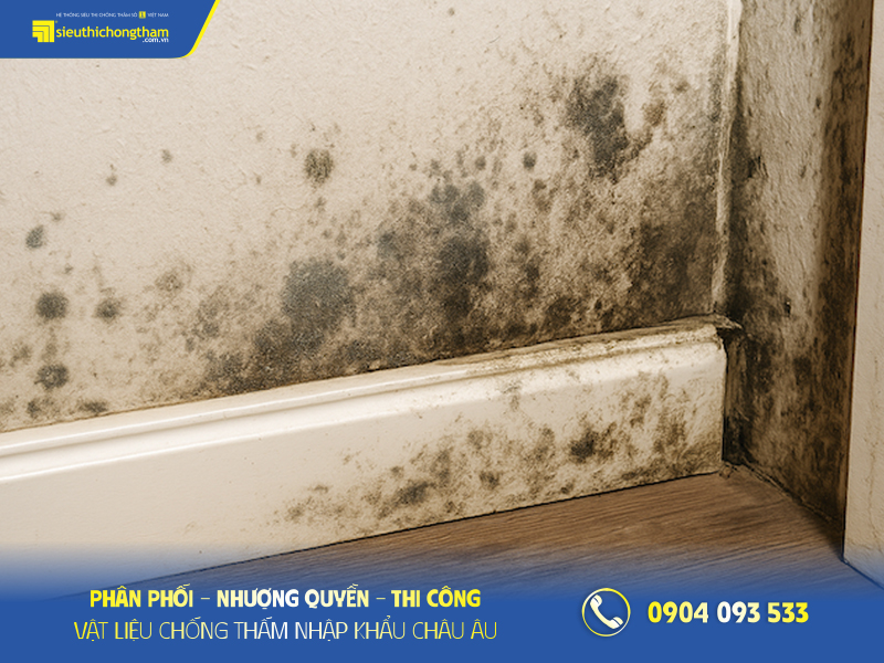 Betofix Waterstop - Giải pháp chống ẩm mốc chân tường hiệu quả đến 99% Chân tường bị ẩm mốc