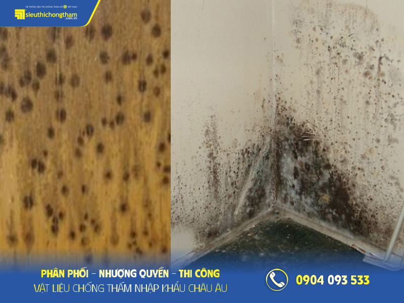 tuong am moc phai lam sao