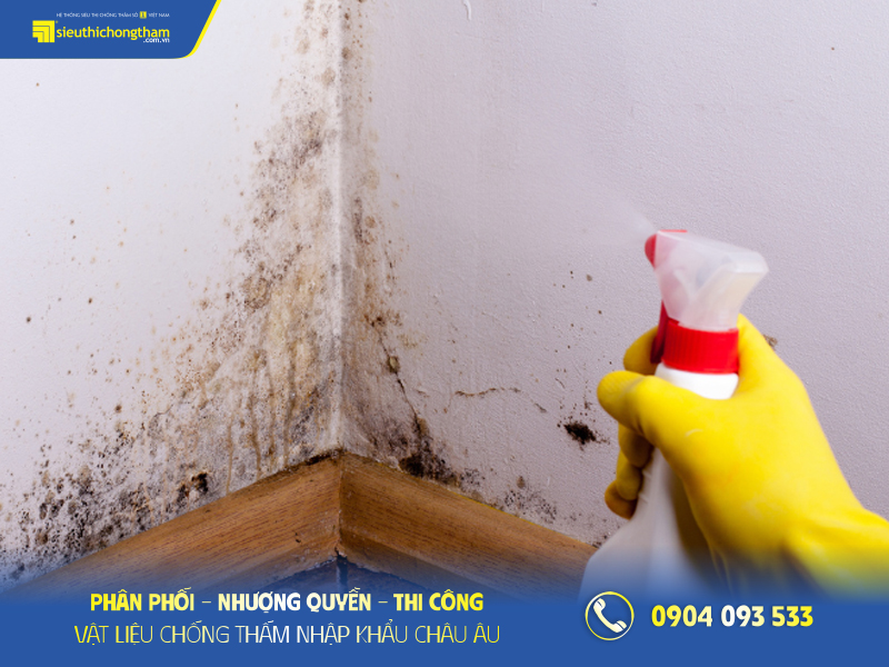 Làm sạch nấm mốc trên tường
